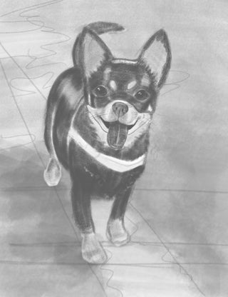 Custom Pet Portraits, Digital Illustration (2-4 week lead time) - Artful Accumulator Boutique Vintage