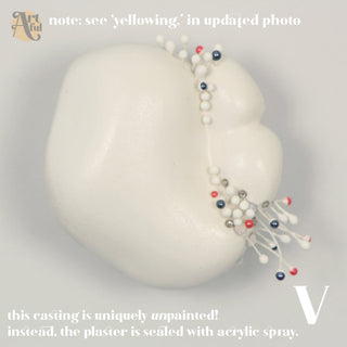 Specimen Studies: Original artwork by Bethany, sold individually