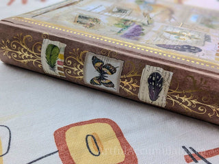 Arts & Botanical Photo Album, two 4x6 photos per page with space for captions, paper cover, gold stamping, holds 200 photos -  - #tag1# - #tag2# - #tag3# - #tag4# - the Artful Accumulator's Vintage Boutique