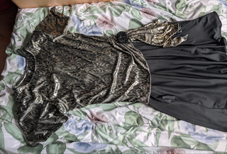 Silver & black drop waist shiny vintage dress with zebra pattern