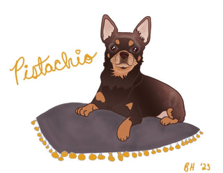 Custom Pet Portraits, Digital Illustration (2-4 week lead time) - Artful Accumulator Boutique Vintage