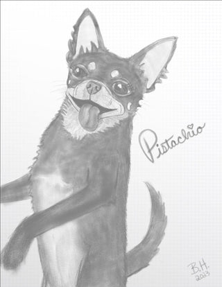 Custom Pet Portraits, Digital Illustration (2-4 week lead time) - Artful Accumulator Boutique Vintage