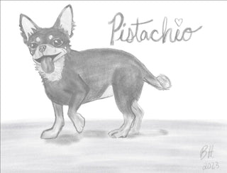 Custom Pet Portraits, Digital Illustration (2-4 week lead time) - Artful Accumulator Boutique Vintage