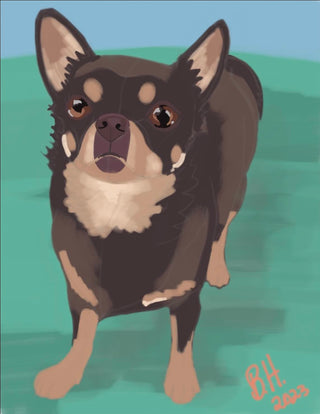 Custom Pet Portraits, Digital Illustration (2-4 week lead time) - Artful Accumulator Boutique Vintage